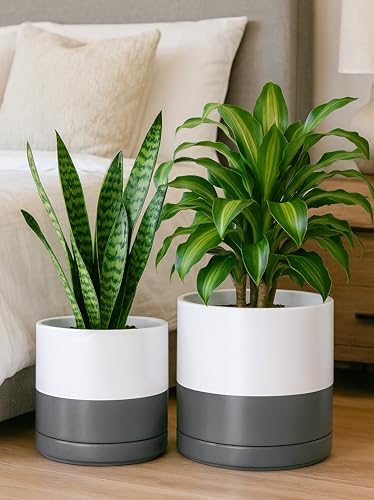 D'vine Dev 2-Pack Ceramic Pots with Saucers, 8/10 in, White/Grey, 94-G-L-6 | Glazed Ceramic, Drainage Hole, Perfect-Fit Saucer, Sleek Cylinder Shape, High Temperature Fired, Elegant Home Accent - color: White/Speckled Grey, size: Large