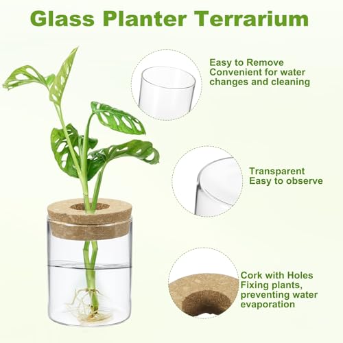 M METERXITY 1 Pack Glass Planter Terrarium with Wooden Cover, Desktop Plant Propagation Station Clear Vase for Hydroponic Plants Propagation/Home Garden Decor/Plant Lover [2.56'' x 3.15''] - size: 2.56'' x 3.15''