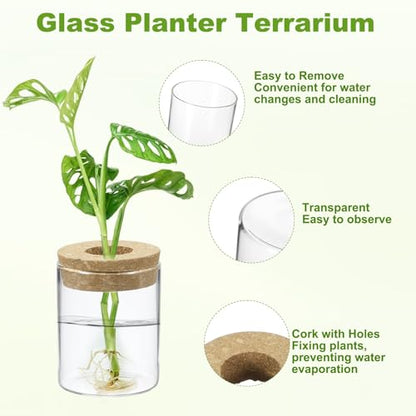 M METERXITY 1 Pack Glass Planter Terrarium with Wooden Cover, Desktop Plant Propagation Station Clear Vase for Hydroponic Plants Propagation/Home Garden Decor/Plant Lover [2.56'' x 3.15''] - size: 2.56'' x 3.15''