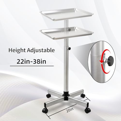 Salon Tray, Salon Color Tray with Adjustable Height, Salon Tray on Wheels, Salon Rolling Tray, Ideal Use As Tattoo Tray＆Dental Tray - color: Silver