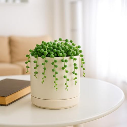 D'vine Dev 4.7 Inch Ceramic Planter Pot, Oatmeal, 94-O-B-8 | Modern Cylinder Design, Drainage Hole & Saucer Included, Stable Structure, Elegant Home Accent - color: Oatmeal, size: X-Small
