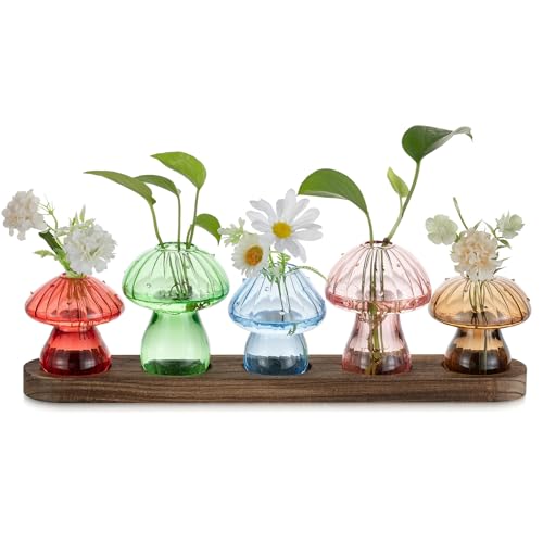 Glasseam Mushroom Glass Plant Propagation Station with Wooden Stand 5Pcs | Colored Handmade Indoor Small Terrarium Jar for Hydroponic Cutting Flowers, Unique Home Office Decor, Gifts for Plant Lovers - color: Multicolor, size: 5Pcs