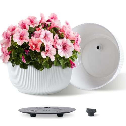 T4U Self Watering Pots for Indoor Plants, 12 Inch 2 Pack Planter White | Monstera fiddle leaf fig, Deep reservoir system, African violet herbs, Office living room decor - color: White, size: 12 Inch