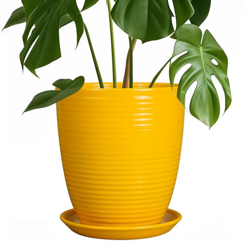 Ceramic Plant Pot - 8 Inch Planter Pot with Drainage Hole and Saucer Round Planter for Indoor Outdoor Plants Flower Pot for Home Patio Garden Office Yellow - color: Glossy-yellow, size: 8 Inch