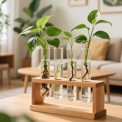 SINJEUN 30 PCS Plant Propagation Tubes, 20 ml Clear Plastic Test Tubes for Plants Flowers Home Office Decorations (4.7 inches Height)