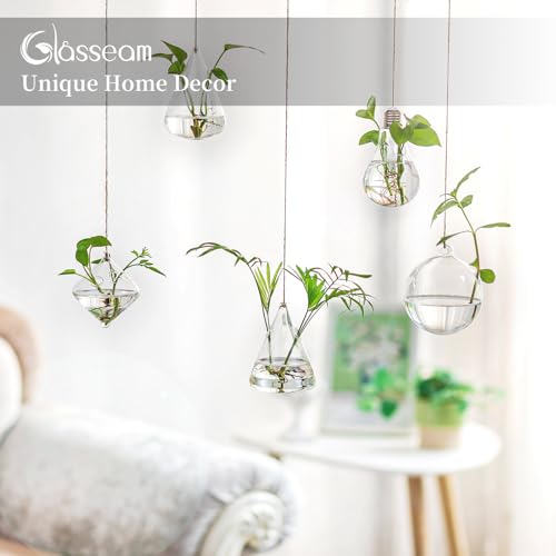 Glasseam Hanging Plant Propagation Station: 5Pcs Small Glass Terrarium Jars | Hydroponic Planters for Indoor Pothos Cutting Propagate, Home Wall Window Decor, Handmade, Gifts for Plant Lovers