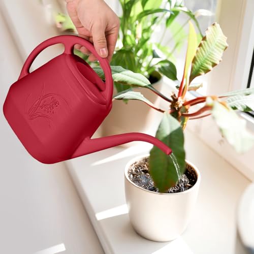 ZXJ Plant Watering Can - for Indoor and Outdoor Home Garden Plants - with Long Spout - Wine Red - 1/2 Gallon - color: Wine Red