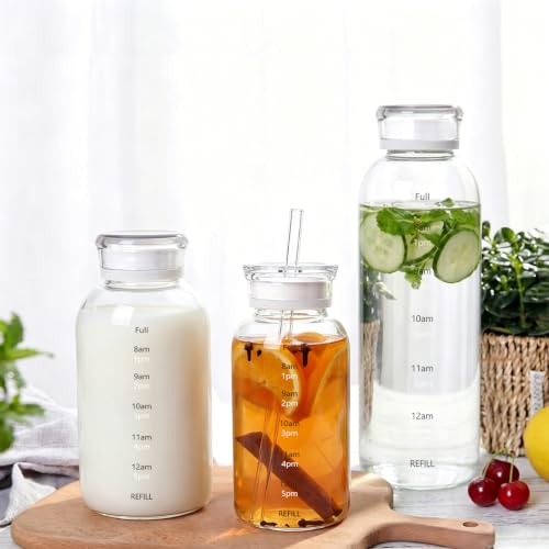Glass Water Bottles with Lids, 15oz Juice Bottles, Glass Bottles with Straws and Time Marker, Reusable Water Bottle, Leak Proof Drinking Jars for Smoothies, Juicing, Milk,Bubble Tea - size: 15oz