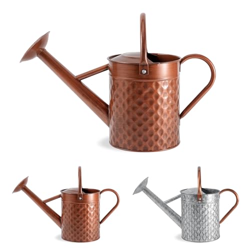 1 Gallon Metal Watering Can for Outdoor Indoor Plants, Copper Colored Watering Can with Removable Spray Spout, Ideal for Garden Watering - color: Copper Colored