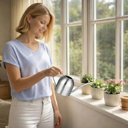 IMEEA Indoor Watering Can for House Plants 33oz/1L Brushed Stainless Steel Watering Can with Long Spout for Succulents, Bonsai - color: 33oz (Silver)