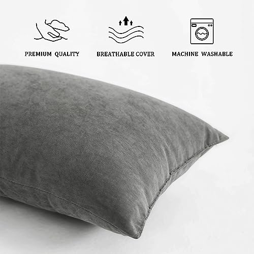 BEDSUM Toddler Pillows 13x18 Microfiber: Travel Inserts, 2 Pack, Dark Grey | Soft brushed microfiber, 13x18 size, 2 pillow inserts, machine washable, lightweight for daycare, travel, and home use - color: Dark Grey, size: 13x18 inches