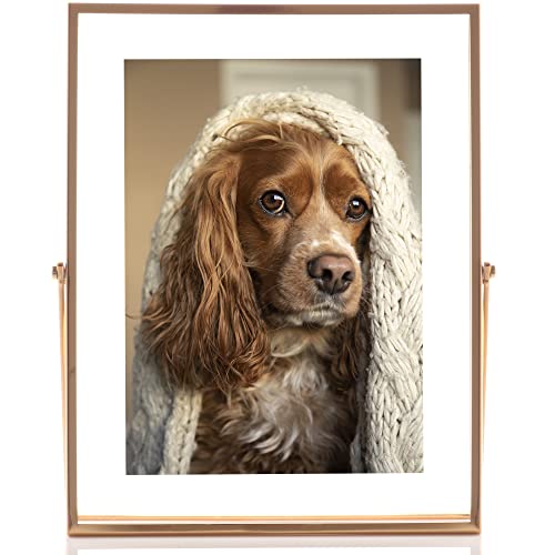 Lawrence Frames Metal Easel Float Picture Frame, 5x7, Gold - color: Gold, size: 5x7
