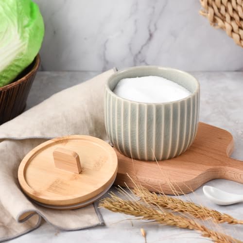 Salt Cellar Keeper with Bamboo Lid, 14oz Big Capacity Ceramic Sugar Bowls Pepper Box, Crackle Glaze Seasoning Container Condiment Pot for Kitchen (Grey Color) - color: Gray