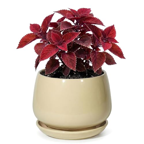 7.5 Inch Ceramic Planter with Saucer,Modern Garden Pots with Drainage Hole Mesh Net, for Indoor Outdoor Use(Pink Yellow) - color: Pink Yellow, size: 7.5 Inch