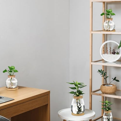 Layhit 4 Pcs Plants Propagation Stations vases Glass Planters with Wooden Lid and Bamboo Stand for Hydroponic Plants Gardening Gifts for Women Mom Home Office Tabletop Decoration(Lovely Style) - style: Lovely Style