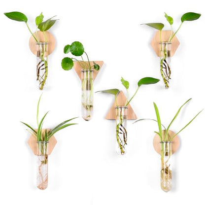 Wall Hanging Glass Planter Plant Propagation Station | Test Tube Vase, Wall Mounted Self-Adhesive Wooden Hydroponic Planter, for Home Office Wall Decor