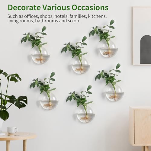 Wall Propagation Planters 6 Pack Wall Glass Planters Wall Plant Holder | Glass Wall Vase, Indoor Hydroponic Decor, Plant Propagation Wall Hanging
