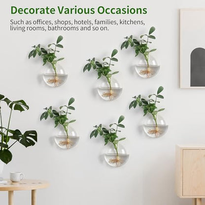 Wall Propagation Planters 6 Pack Wall Glass Planters Wall Plant Holder | Glass Wall Vase, Indoor Hydroponic Decor, Plant Propagation Wall Hanging