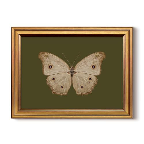 InSimSea 12×16 Framed Canvas Butterfly Wall Art, White Butterfly on Sage Green Background, Vintage Farmhouse Wall Decor for Living Room, Bedroom, Bathroom, Nursery, Office - color: Vintage Butterfly, size: 16"L x 12"W