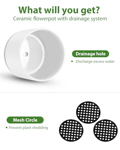 EFISPSS Plant Pots, 4+5+6 Inch Pots for Indoor Plants, Ceramic Planter Pot with Drainage Hole, Flower Pots for Succulent Cactus, Set of 3 - White - color: White