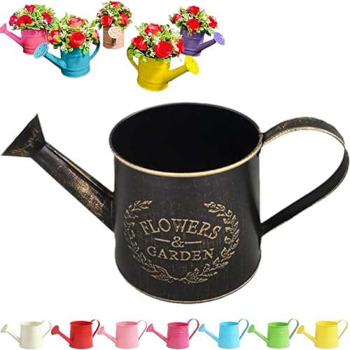 Tinplate Watering Kettle 1L, Mini Metal Watering Can with Long Spout and Handle, Vintage Flower Sprinkling Can for Indoor Plants, Patio and Garden Use (Retro Black-D01) - color: Retro Black-d01