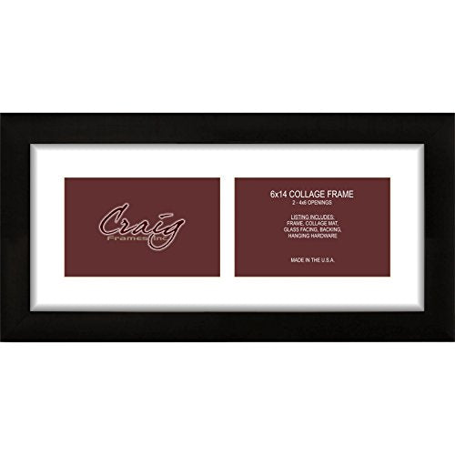 Craig Frames 1WB3BK 6 by 14-Inch Black Picture Frame, Single White Collage Mat with 2-4 by 6-Inch Openings - color: 500061401C38A 4x6 2-Opening - 1" Border