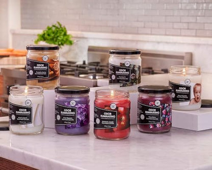Almond Sugar Cookie Odor Eliminating Highly Fragranced Candle - Eliminates 95% of Pet, Smoke, Food, and Other Smells Quickly - Up to 80 Hour Burn time - 12 Ounce Premium Soy Blend - color: Bronze