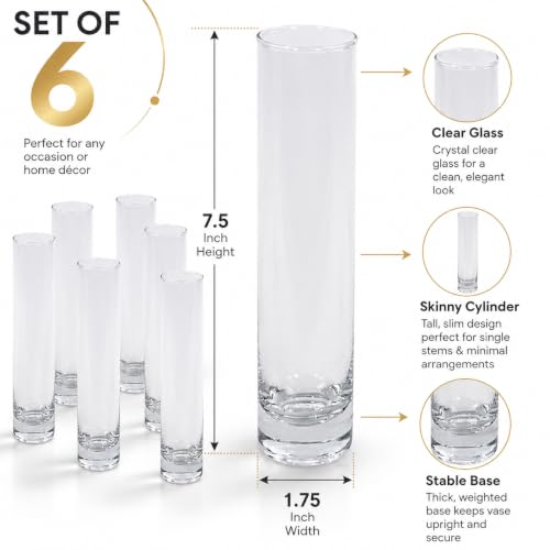 Koyal Wholesale Bud Vases, 7.5 Inch Clear Glass Cylinder, Set of 6
