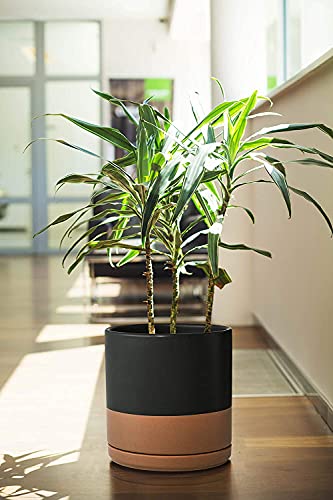 D'vine Dev 2-Pack Ceramic Pots with Saucers, 8/10 in, Black/Tan, 94-G-L-7 | Glazed Ceramic, Drainage Hole, Perfect-Fit Saucer, Sleek Cylinder Shape, High Temperature Fired, Elegant Home Accent - color: Black/Speckled Tan, size: Large
