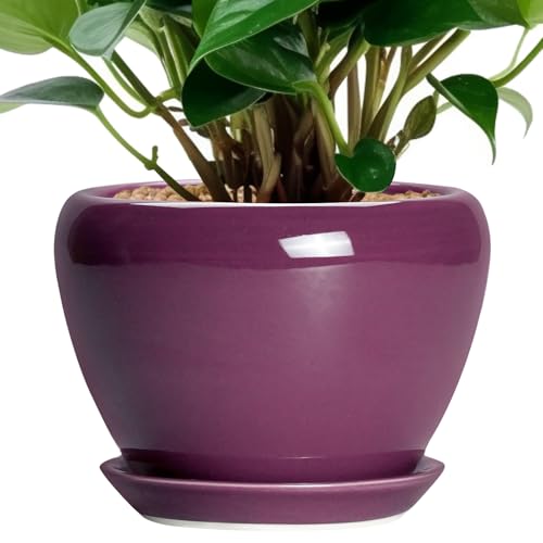 Ceramicfor Ceramic Pots for Plants 6 Inch - Ceramic Plant Pots with Drainage Hole and Saucer, Glaze Round Planter for Succulent Plants, Gifts for Plant Lovers, Garden Home Decor, Purple - color: Purple, size: 6 Inch