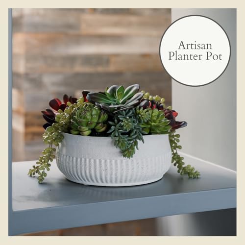 Round Faux Succulent Arrangement, 12" Premium Artificial Indoor Plant Enhances Interior Design, Display on any Surface in Your Home Adding an Inviting Touch of Nature, White Planter Pot Included - size: 12" Round White