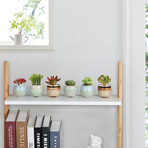 T4U Small Ceramic Succulent Pots with Drainage Set of 6, Mini for Plants, Tiny Porcelain Planter, Air Plant Flower Cactus Faux Plants Containers, Modern Decor Home and Office