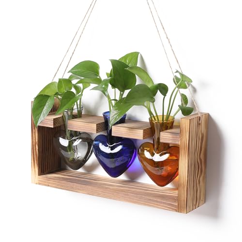 Plant Terrarium Propagation Stations Hydroponics | Home Garden Decoration Gift for Women with Wooden Stand Heart Shaped Colored Glass Vase - color: Color 3