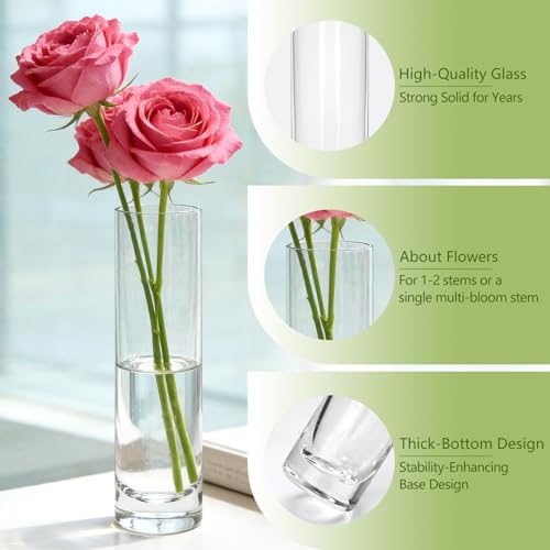 7.48 inch Tall Vases for Flowers,12PCS Glass Cylinder Vase,Bud Vase | Single Rose Bud Vase for Event Decor,Bud Vases in Bulk for Wedding Centerpieces,Home Aesthetic Desk Decor,Party Decorations