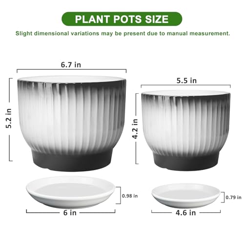 6.7 + 5.5 Inch Ceramic Plant Pots,Set of 2,Planters with Drainage and Saucer,Indoor Pots for Plants,Modern Flower Pots for Home and Office（Black + White） - color: Black + White
