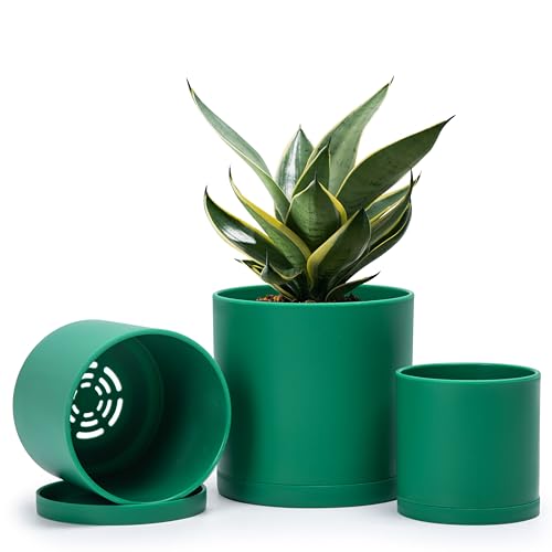 D'vine Dev 3-Pack Plastic Pots & Saucers, 4/5/6 in, Green, 74-V-D-1 | Multi-Size Options, Lightweight Durable, Matte Finish, Cylinder Shape, Drainage Holes, Sleek Design, Detachable Saucer - color: Green, size: Small