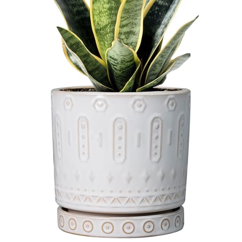 Eightpot Pot for Plants 6 Inch - Ceramic Planter for Indoor Plants Decorative Plant Pot with Drainage Holes and Saucer Outdoor Flower Pot Modern Succulent Pots for Office Desk Decor White - color: White, size: 6 Inch