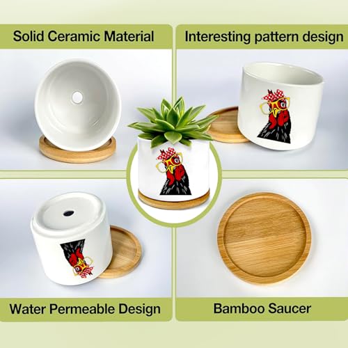 1Pcs Rooster Succulent Pots with Drainage and Bamboo Tray, Ceramic Pot | 3 Inch Small Planters for Plants,Cactus,Decoration for Office Home,Garden,Windowsill,Gifts for Women Mom (No Plants Included) - style: Rooster