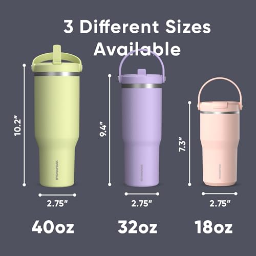 Hydrapeak Nomad 32oz Stainless Steel Insulated Travel Tumbler with Handle & Straw Lid, Leakproof, Cupholder Friendly, Back to School, College Dorm, Gym & Everyday Hydration, Cold 24 Hours (Navy) - color: Navy