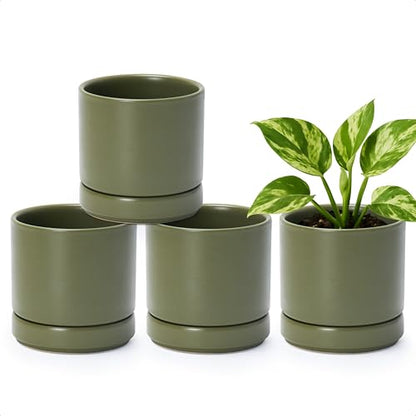 D'vine Dev 4-Pack Ceramic Pots with Saucers, Olive, 4.7 in, 94-X-B-0 | Glazed Ceramic, Drainage Hole and Saucer, Sleek Cylinder Shape, High Temperature Fired, Ideal for Small Houseplants - color: Olive, size: 4.7 Inch