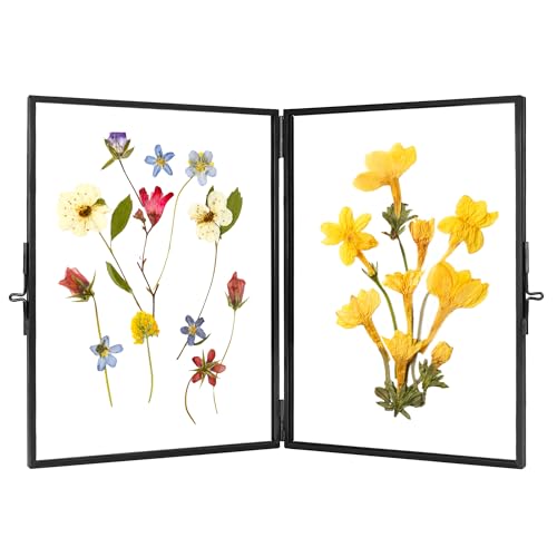 REDHUGO Glass Pressed Flower Frame Handmade, Rectangle, Black, 5×7 Inches | Hinged Double Press Flower Frame, Tabletop Brass Photo Frames, Rectangle Dried Flowers Display Folding Frames for Home - color: Black, size: 5L" x 7W"