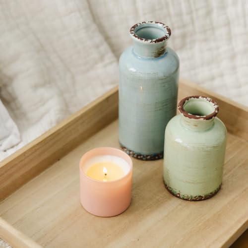 Dignity Series Lavender & Bergamot Scented Candle | Made in the USA Luxury Clean Soy Wax Candles - Long Lasting Ivory Glass Jar Candle for Home - 1 Wick - 5.3oz - color: Lavender + Bergamot