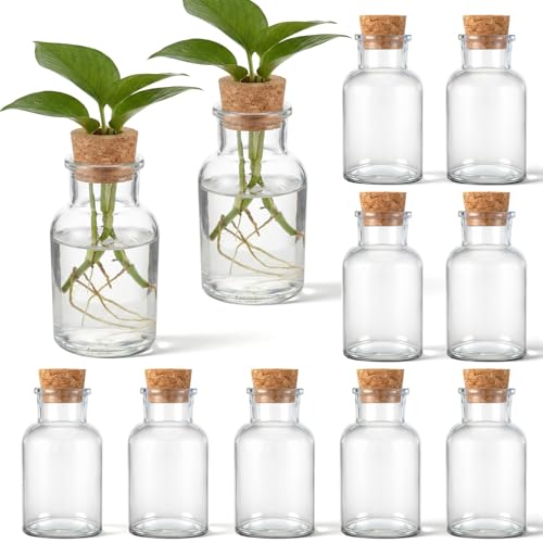 12 Pack Glass Plant Propagation Stations, Hydroponic Vases Tabletop Plant Terrarium Jar for Indoor Flower Arrangements Glass Planter Kitchen Office Decoration Gifts(Cylindrical)