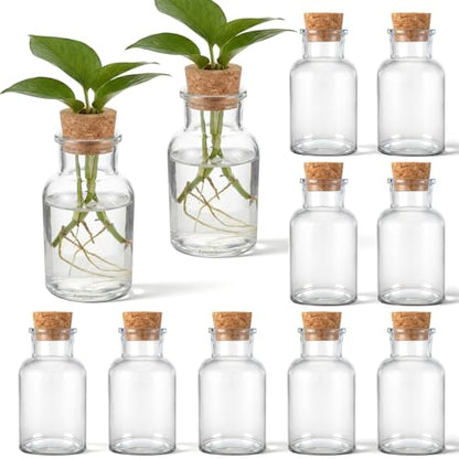 12 Pack Glass Plant Propagation Stations, Hydroponic Vases Tabletop Plant Terrarium Jar for Indoor Flower Arrangements Glass Planter Kitchen Office Decoration Gifts(Cylindrical)
