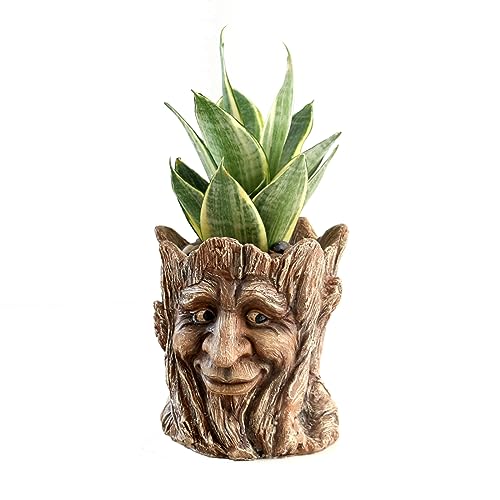 Funny Planter Head Face Plant Pot with Drainage Hole Resin Succulent Plant Holder Pencil Holder Desk Organizer Office Garden Gift (Smile Face)