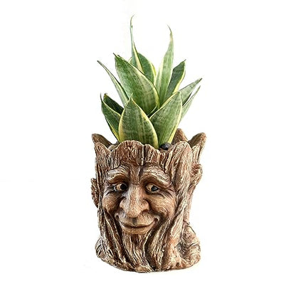 Funny Planter Head Face Plant Pot with Drainage Hole Resin Succulent Plant Holder Pencil Holder Desk Organizer Office Garden Gift (Smile Face)
