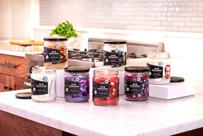 Peppermint Two Pack Odor Eliminating Highly Fragranced Candle - Eliminates 95% of Pet, Smoke, Food, and Other Smells Quickly - Up to 80 Hour Burn time - 12 Ounce Premium Soy Blend - color: Peppermint Two Pack