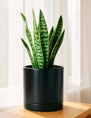 D'vine Dev 8.2 Inch Ceramic Planter Pot, Black, 94-O-D-2 | Modern Cylinder Design, Drainage Hole & Saucer Included, Stable Structure, Elegant Home Accent - color: Black, size: Medium