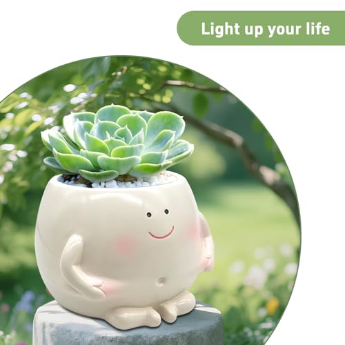 3.5" Smiley Face Resin Planter Pot,Funny Belly Planters Design | Succulent Planterwith Drainage Hole;Cute Plant Pot for Indoor Outdoor Plants