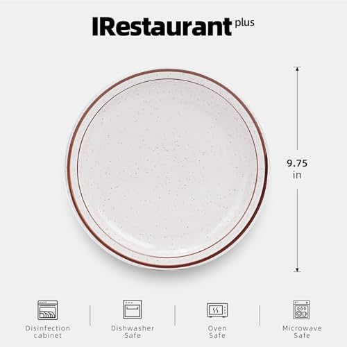 Stoneware Narrow Rim Commercial Grade Dinnerware Brown Speckle, Plate 9 5/8", Case of 24 - color: Brown Speckle, size: Plate 9 5/8"